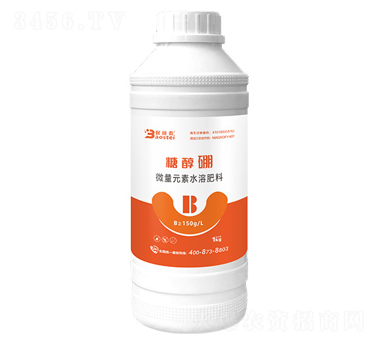 �Ǵ���-��ʩ̩