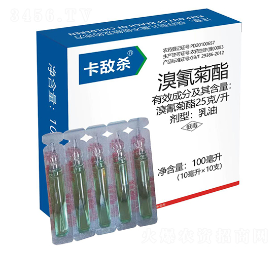 25��/���������-������-�t̫�