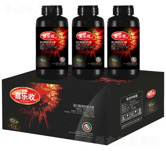 ����øֲ�Ｄ����-�t̫�