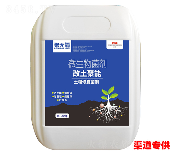 �������������ޏ�(f��)����-�۟o(w��)��