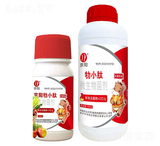 ��С��΢�������-���(y��ng)