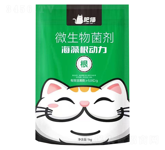 ΢�������-�������(d��ng)��-��؈