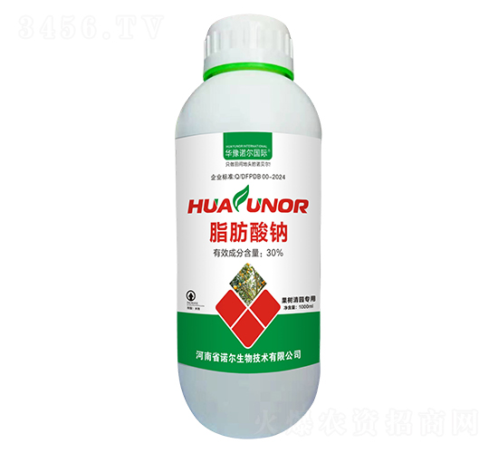 ֬�����c-���xȫ��-�Z������