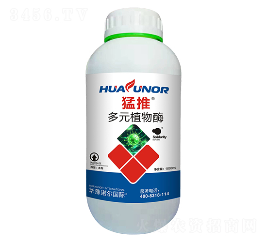 ����-�Z������