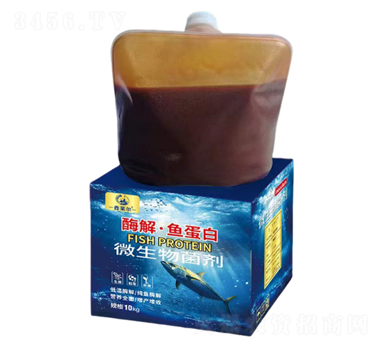 ø�⡤�~����΢�������-���R��