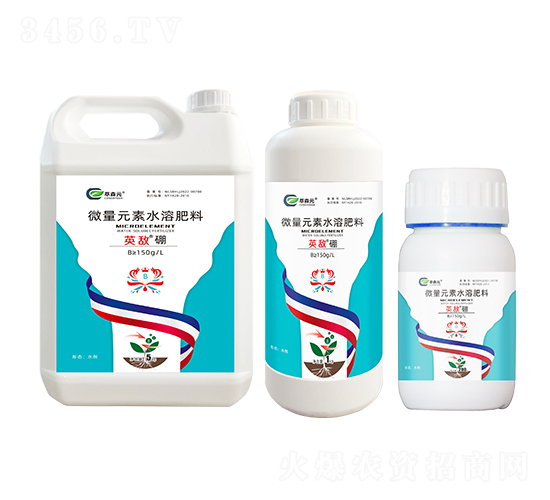 ΢��Ԫ��ˮ�ܷ���-Ӣ������-��ɭԪ