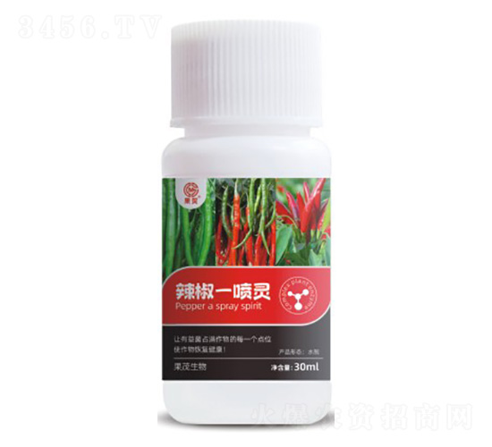 ����һ���`-��ï����