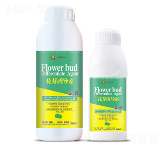 花芽誘導(dǎo)素-愛丁邦普