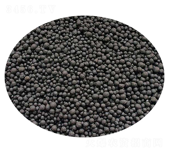 �����ЙC���w��-���^����