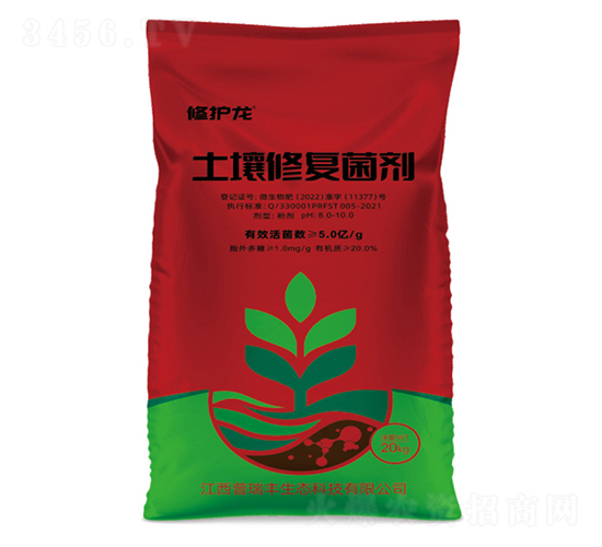 �����ޏ�(f��)����-���o��-�����S