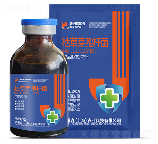 �ݲ�ѿ�ߗU��-���ɭ