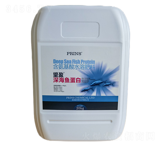 ��ӯ��~����