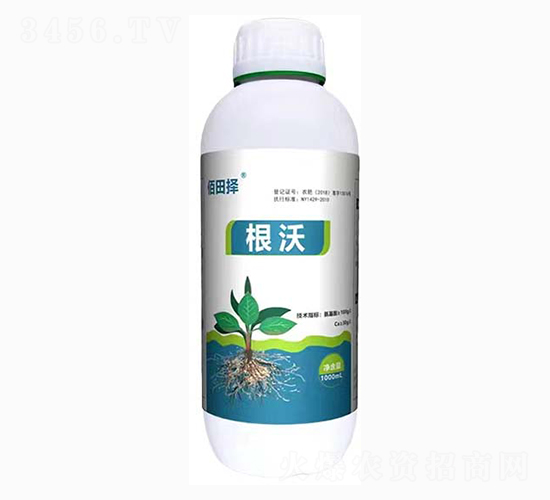 ����-�����-���SԴ