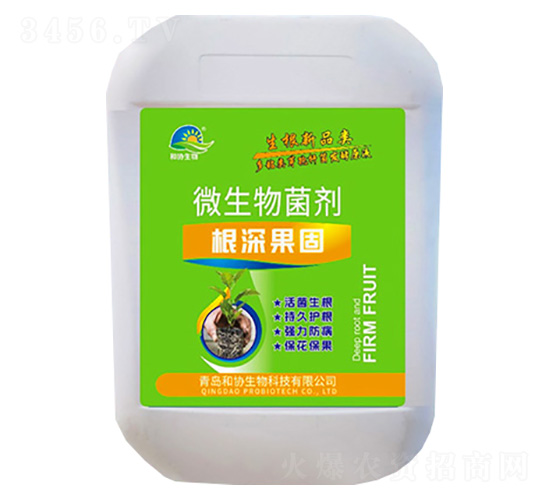 ΢�������-�������-�ͅf(xi��)����