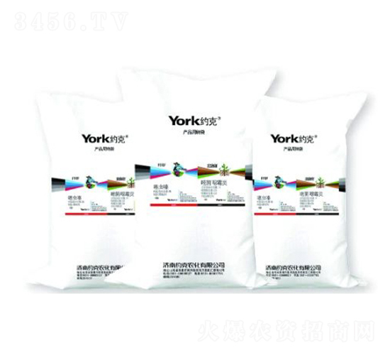 3%���x��w����+1%�׾����fù�`�w����-�_��+������-�s���r��