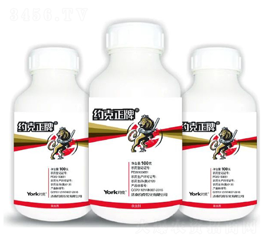 8%���x��Ҹ��N��-�s������-�s���r(n��ng)��