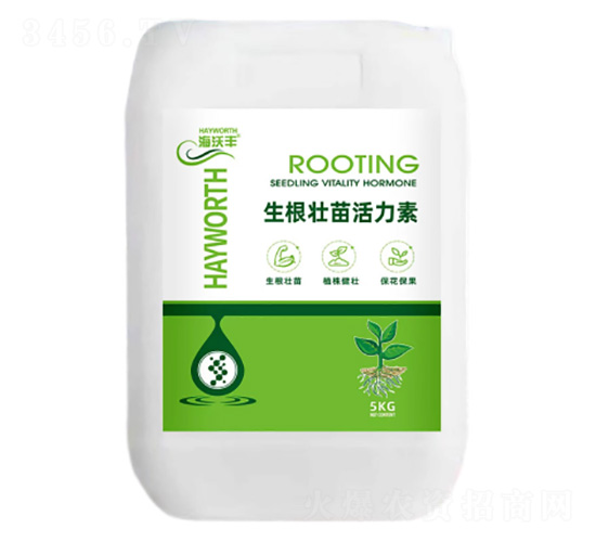 �������������-�����S-��������