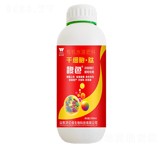 �_ʩ���t���ь�(zhu��n)�øɼ�(x��)������-�ɫ-�֠���(y��u)