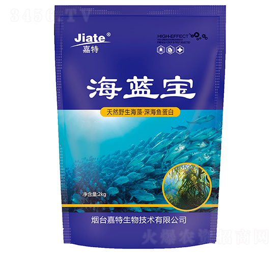 ���{(l��n)��-��������