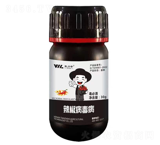 �����壨������������-������-��֮��