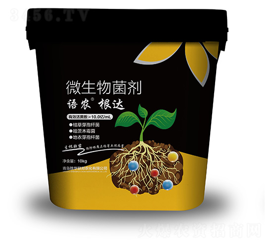 ���_(d��)΢�������-�Z�r(n��ng)-���A(li��n)��