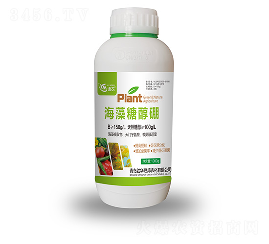 �����Ǵ���-�Z�r(n��ng)-���A(li��n)��