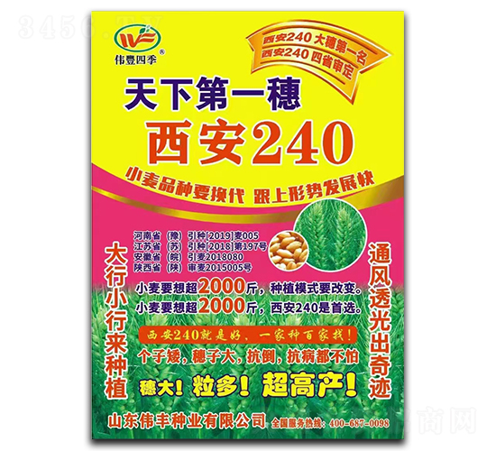 ����240-С���N��-���S�N�I(y��)