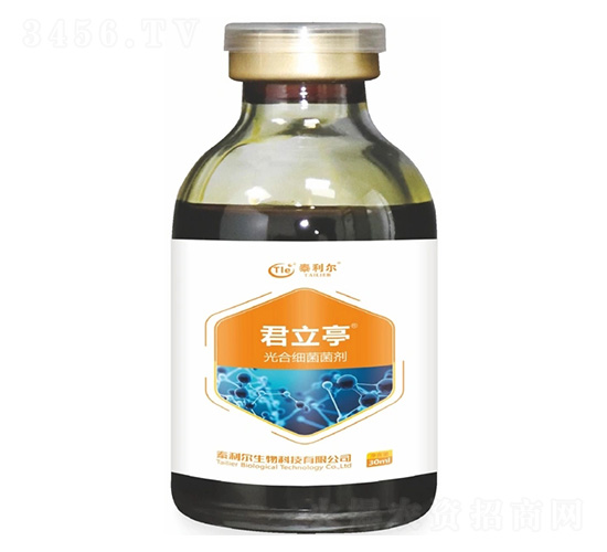 ��ϼ�(x��)������-����ͤ-̩����