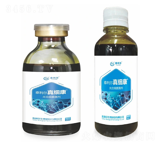 ��ϼ�(x��)������-�漚(x��)��-̩����