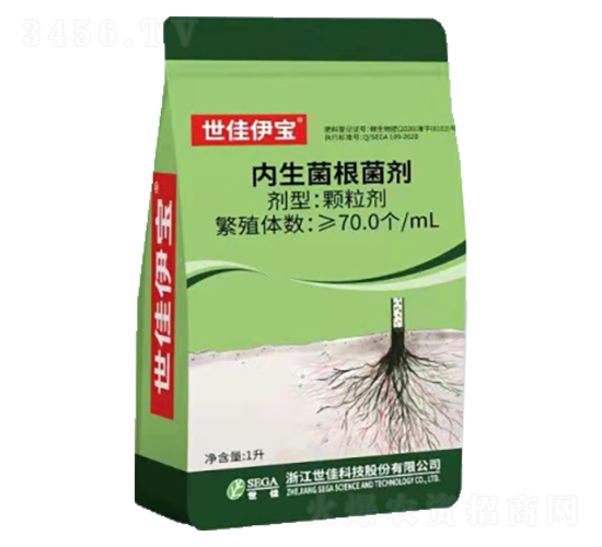 ������������-��������-���ѿƼ�