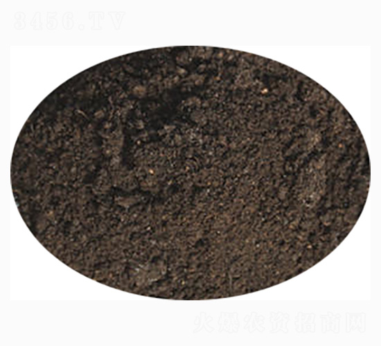 ��䌣�÷�-ӭ������