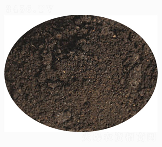 �����������÷�-ӭ������