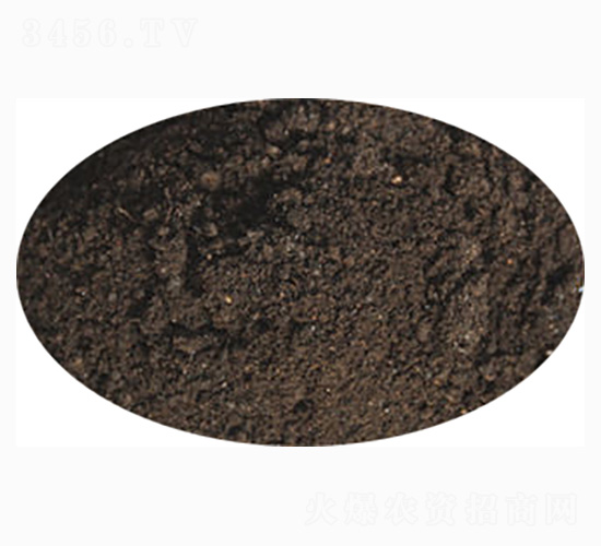 ���(zhu��n)�÷�-ӭ������