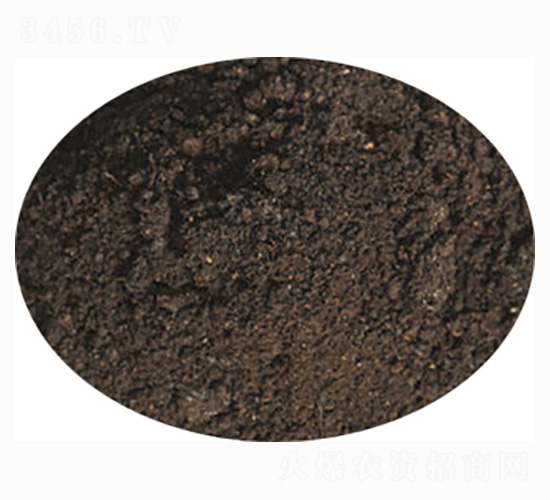 �R��������ЙC��-ӭ������