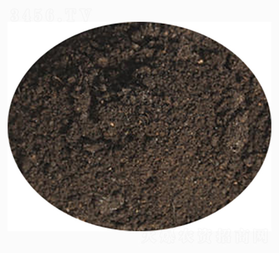 �����ЙC(j��)��-ӭ������