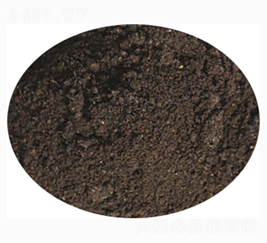 �������÷�-ӭ������