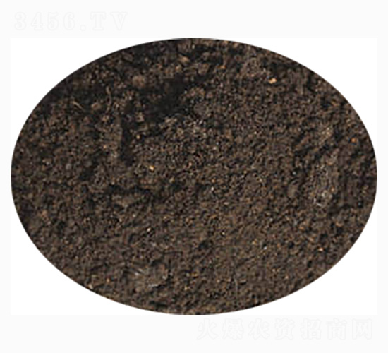 �Ͳ茣(zhu��n)�÷�-ӭ������