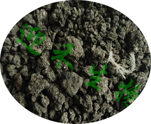 ���u�S1̖-ӭ������