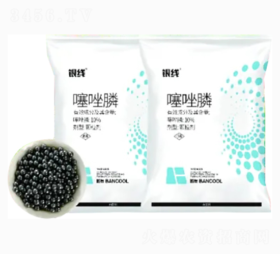 10%������w����-�y��-�߲�����