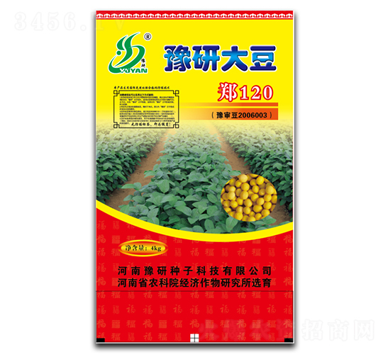 鄭120-大豆種子-秋樂種業(yè)
