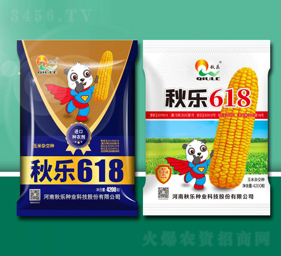 秋樂618-玉米種子-秋樂種業(yè)