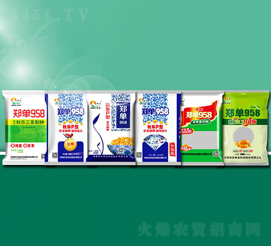 ����958-���׷N��-��N�I(y��)