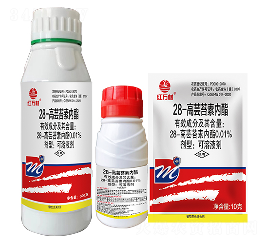 0.01%28-���|̦�؃�(n��i)��-�t�f��-�l(xi��ng)�弾�L-���˹����r(n��ng)��