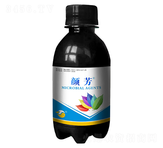 �ӝɼt�نΰ���-�-���L