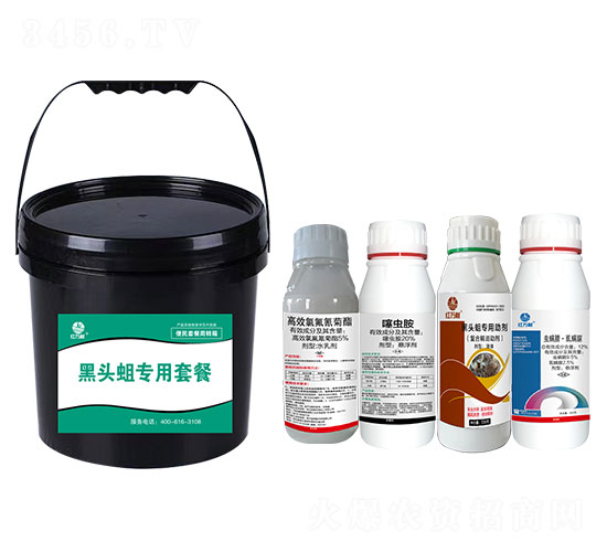 黑頭蛆專用套餐-紅萬村-鄉(xiāng)村季風(fēng)-人人共享農(nóng)化