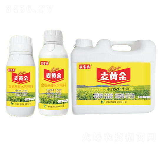 ���S��-�|����-���䌍(sh��)�I(y��)