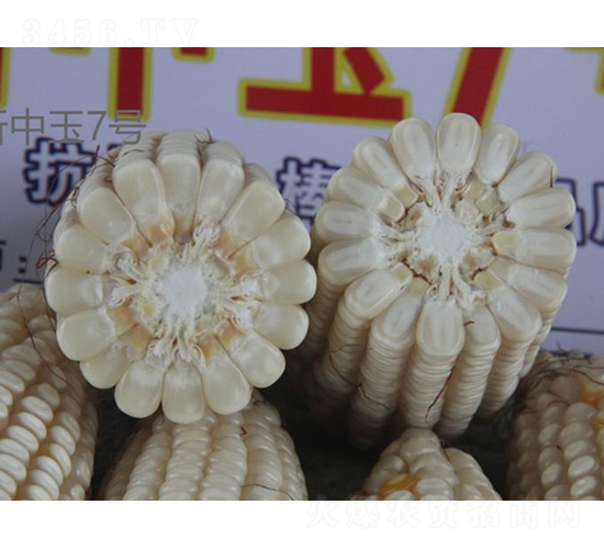 ������7̖-���׷N��-���r(n��ng)�Ƽ�