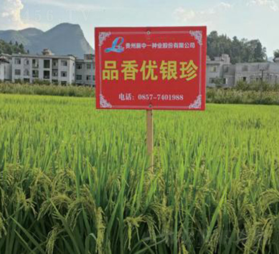 Ʒ�マ(y��u)�y��-ˮ���N��-���r(n��ng)�Ƽ�