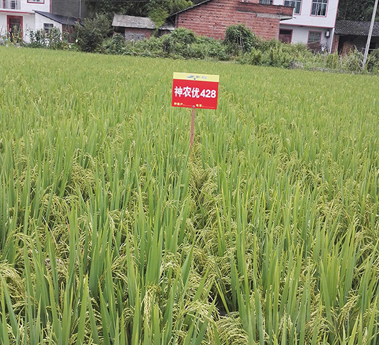 ���r��(y��u)428-ˮ���N��-���r�Ƽ�