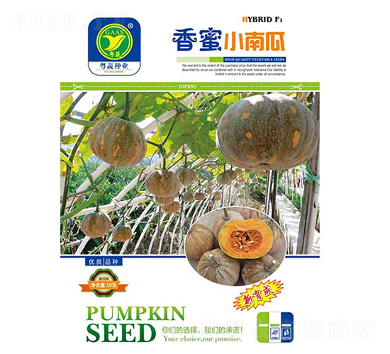 ����С�Ϲ�-�ϹϷN��-����r(n��ng)�Y